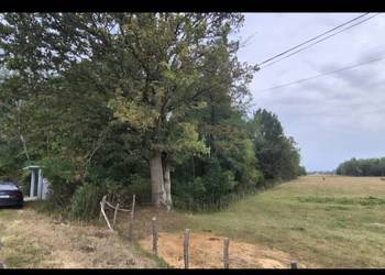 Działka rolna 11900m2 gmina Leoncin