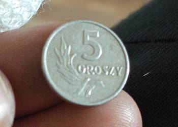 Sprzedam 5 gr 1968 r