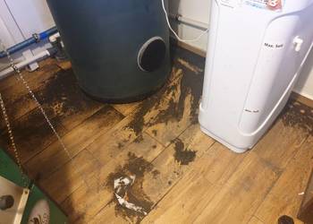 Neutralizacja zapachów dymu papierosowego i odgrzybianie Strzelin. Vector