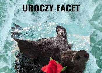 Uroczy Facet