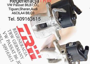 ZACISK HAMULCOWY TRW PASSAT B6 B7 CC,AUDI A6C6 A4 B8 Q3 A8 TIGUAN SHARAN