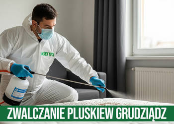 Zwalczanie pluskiew Grudziądz - Odpluskwianie, Dezynsekcja