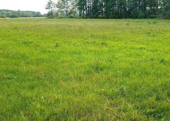 Działki budowlane Czubajowizna k. Wołomina, bezpośrednio