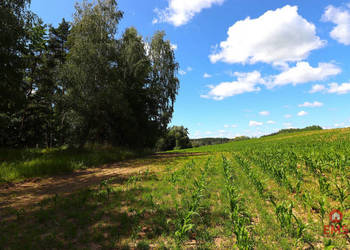 Działka na sprzedaż 1100m2 Rożyńsk Wielki