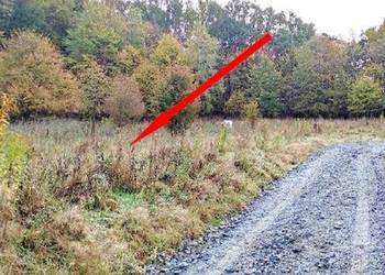 Zarządca masy sanacyjnej sprzeda nier grunt przeznaczoną do zabudowy