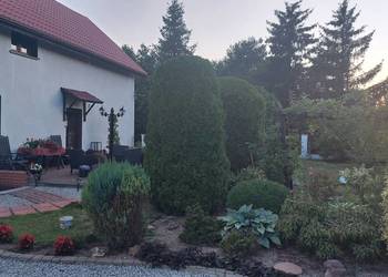 Dom z pięknym ogrodem na sprzedaż Pilszcz