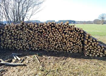 Stemple budowlane, kołki do ogrodzeń tymczasowych, paliki