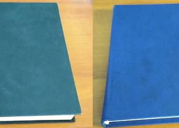 Równania różniczkowe cząstkowe rzędu drugiego Cz 1-2 Mirosław Krzyżański