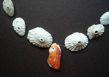 Nowe Korale Naszyjnik z muszelek Nowe Korale Naszyjnik z muszelek