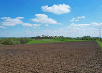 Działka 30420m2 Młodziejowice