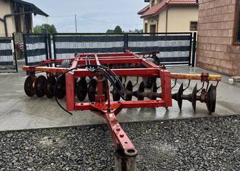 Talerzówka lila harie 16x2