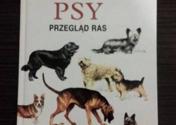 Psy przegląd ras Psy przegląd ras