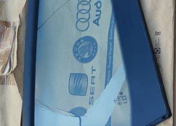 VW TIGUAN SZYBA TYŁ TYLNA LEWA DRZWI VW 5N0845213  5N0845213D