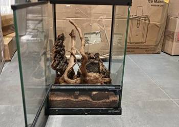 |•Terrarium firmy Repti-Zoo•|