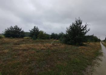 Działka budowlana Rosocha-Kolonia Działka budowlana Rosocha-Kolonia