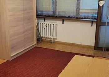 2pok, 36met, Okolice Młodych Techników PIWNICA/PARKING (Wrocław)