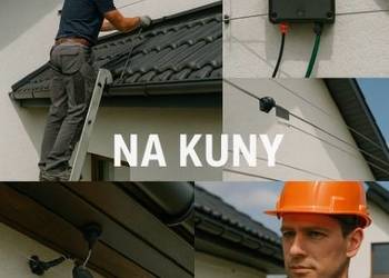 Ile kosztuje pastuch elektryczny na kuny? Cena z montażem dla domu
