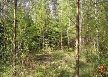 Oferta sprzedaży działki 1100m2 Jankowo-Młodzianowo