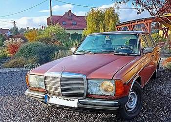 Mercedes     w123           Tanio