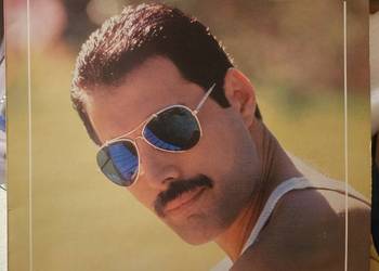 Freddie Mercury Mr Bad Guy winyl