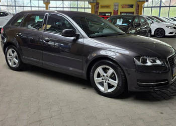 Audi A3 Sportback ZOBACZ OPIS !! W podanej cenie roczna gwarancja 8P (2003…