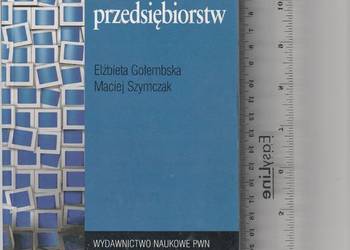 Informatyzacja w logistyce przedsiębiorstw Gołembska