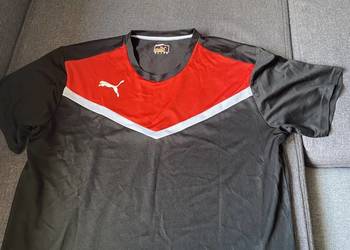 Koszulka puma