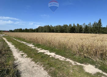 Kicin k/Poznania|3007 m²|Kapitał rosnący w ciszy