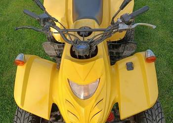 Quad 300