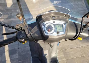 Vivacity 50
