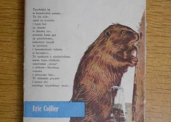 Eric Collier - Nad rzeką bobrów Eric Collier - Nad rzeką bobrów