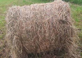 Sprzedam siano