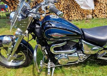 SUZUKI VZ 800 Marauder