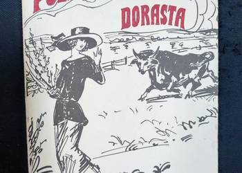 Polyanna dorasta - E. H. Porter