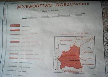 województwo gorzowskie [1981]