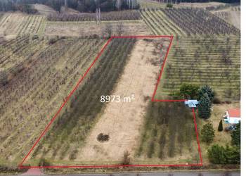 Kazimierz Dolny działka Jeziorszczyzna