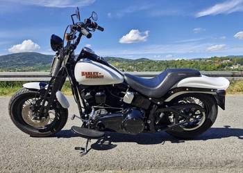Harley Davidson Softail Cross Bones