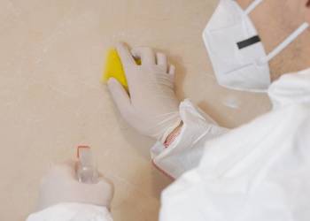 Sprawdzone sposoby na pleśń i Odgrzybianie ścian Radzionków - Vector