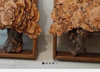 Rękodzieło Loft Design przedstawiające 2  rzeźby drzewa winorośl 45x 52