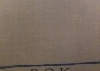 Rok tysięczny Bunch książki antykwariat outlet