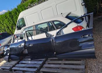 Renault Kadjar drzwi kod lakieru TEGNE