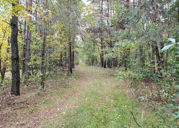 Działka budowlana pod osiedle 29400m2 Piaski gm. Koniecpol