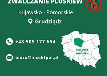 Zwalczanie pluskiew Grudziądz - Odpluskwianie, Dezynsekcja
