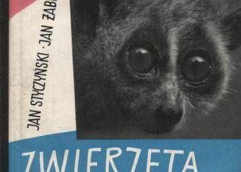 Zwierzęta bliskie i dalekie - Styczyński