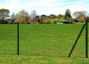 vidaXL Euro ogrodzenie, stalowe, 25 x 0,8 m, zielone(SKU:142387)