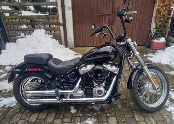 Harley-Davidson Fxst Softail Standard M8 Niski przebieg