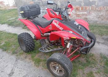 Quad ATV 250 shinrey