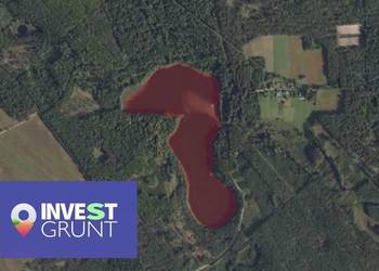 [22,00 ha] Dzierżawa jeziora
