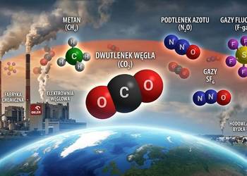 Ewidencja czynnika klimatyzacji raport w bazie danych sprawozdań, cena