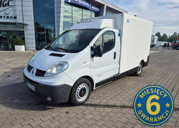 Renault Trafic Renault Trafic 115KM / CHŁODNIA IZOTERMA / THERMO KING